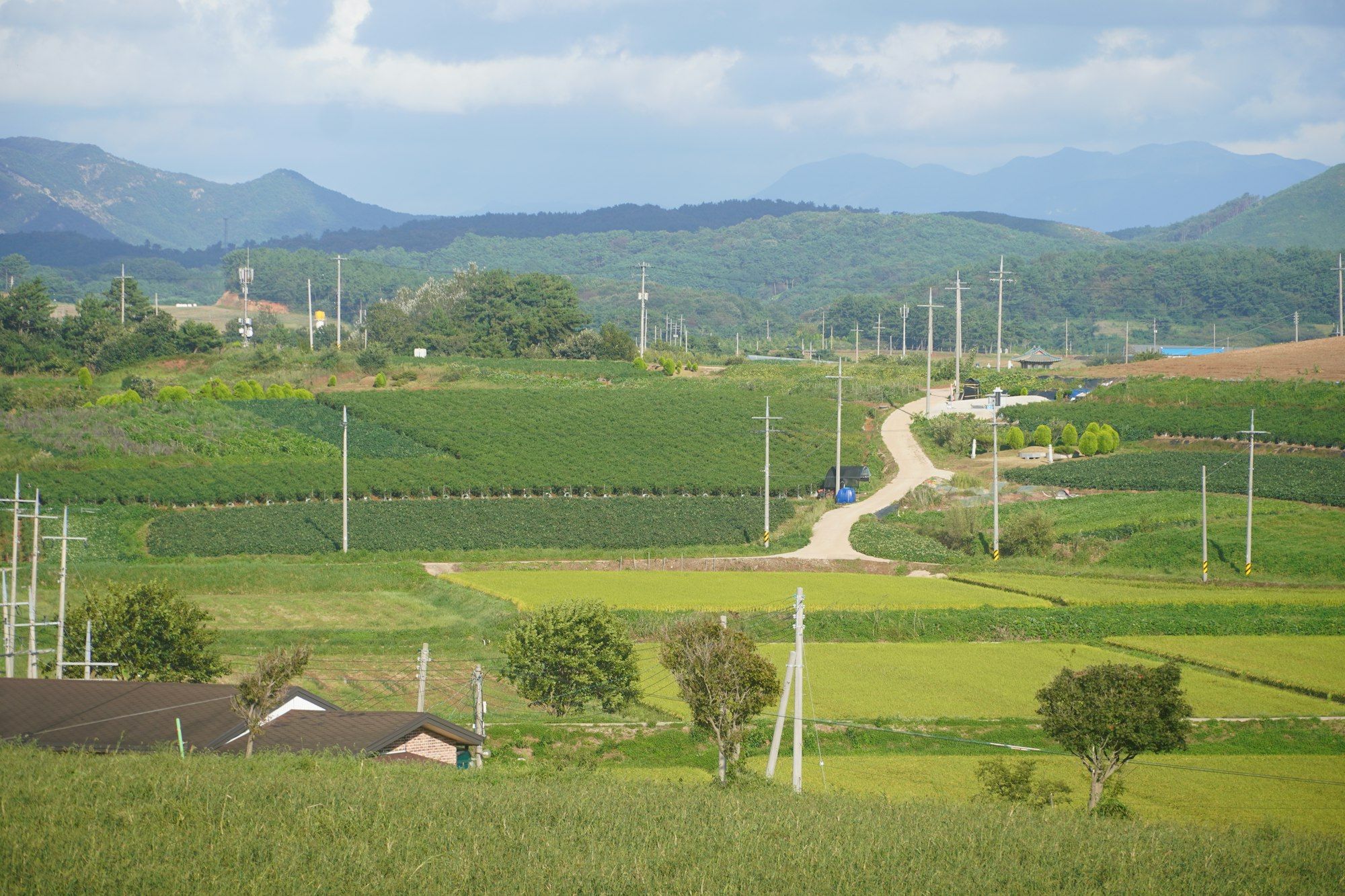 Lembah berisi petak-petak ladang dan sawah, jalan desa yang berkelok, dan barisan bukit di kejauhan